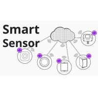 Sensor